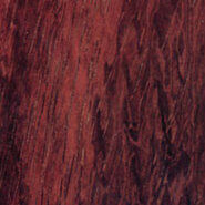 Padauk Padauk