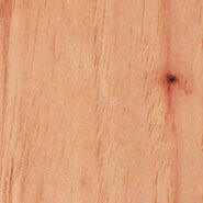 pecan pecan