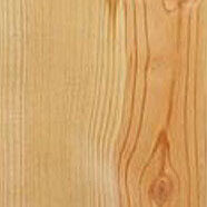 pine-eastern-white eastern white pine
