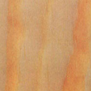 pine-southern-yellow southern yellow pine