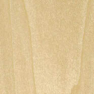 poplar